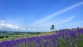 免费女生大骚逼日本一地6日游  境外旅游 6880元/人